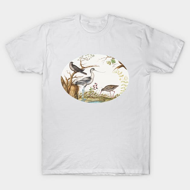 Avocet with Two Other Birds (1575–1580) T-Shirt by WAITE-SMITH VINTAGE ART